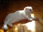 dsc05837