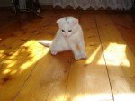 dsc05809