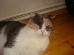 dsc05842