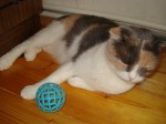 dsc05838