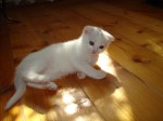 dsc05835